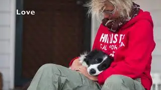 Dog Training Using Recallers Games Is Fun & Rewarding