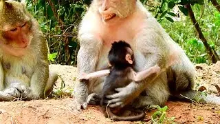Carla so afraid Tara kidnaps Charlee, Carla doing like this to Tara, Mother very Responsible