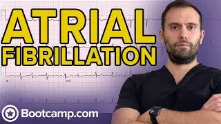 Atrial Arrhythmias | HIGH-YIELD CARDIOLOGY | USMLE STEP 1