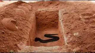 BLACK SNAKE IN THE GRAVE TRUE STORY iLovUAllah Nourish TV
