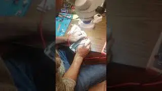 Iphone 6s plus rear camera not working (water damage) bad fuse FL3202