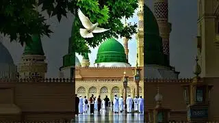 meri akka ko dekhoge #viral #trendingshorts #video #viralshort #islamicvideo #love #songs