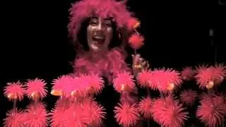 Laughing Laura Pen