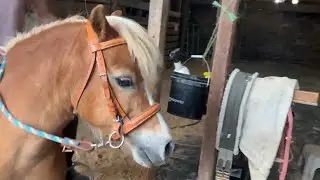 How to convert a bridle to a Bitless Sidepull