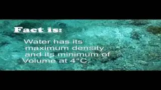 Density and the anomaly of water