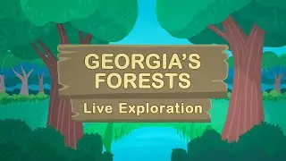 Georgia's Forests Live Exploration