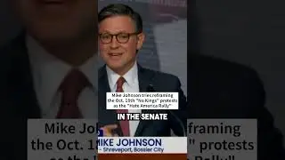 MAGA Mike Johnson labels the upcoming 