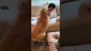 Old dog turns back into puppy!