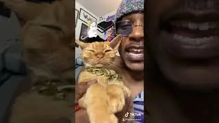 1 2 3 DJ Ravioli Freestyle - iAmMoshow