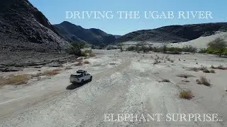 Off-road Driving Ugab River Namibia (Wild Elephant Encounter)