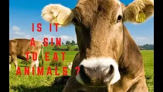 Is it a sin to eat animals?