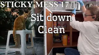 I Was NOT Okay&hellip; But I Still Cleaned 🧼 | Sit-Down Cleaning for the Bad Days | StickyMess17