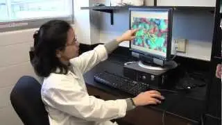 Marine compound discovery shows promise of improved drug treatment for COPD patients