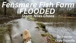 Обновленная информация о наводнении на рыбоводческом хозяйстве Фенсмер 🌧️ Шторм Нильс обрушился н...