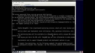 Debian 11 - How to connect to your remote MongoDB server