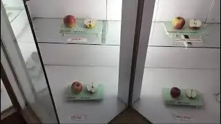 Different Verity of Apple #shortfeed shorts#