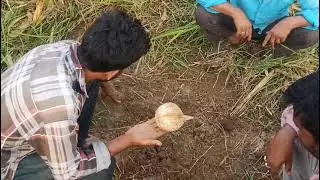 June 7, 2025 adenga me pani chek