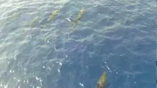 VID 20121107 112902