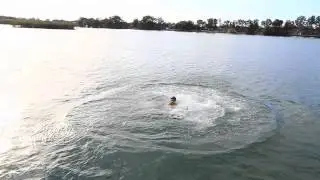 Jetty Jump Teaser