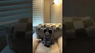 Beans' Bedtime Routine