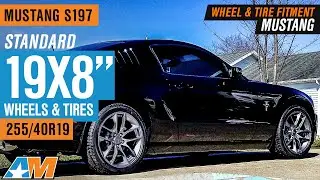 Mustang S197 | Standard 19X8