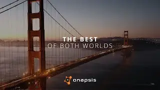 THE BEST OF BOTH WORLDS: Virtual Forge - an Onapsis company