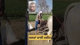 #youtubeshorts #trending #funny #punjab  #trending #viral #youtubeshorts #funnyvideos