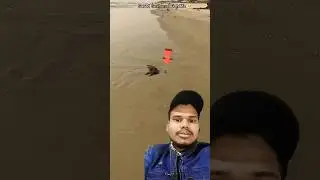 #beach #fishing
