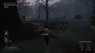 Lies of P. Owl Doctor Boss Fight PS5.
