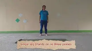 Routine A: Single leg stands on all three planes & Lunges