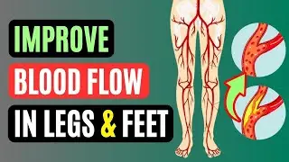 Maximize Your Circulation: 12 Foods for Better Blood Flow to Your Legs & Feet!