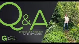 Adding Support Species to Help Existing Fruit Trees