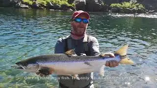 Salmon Fishing in Norway & Iceland 2018