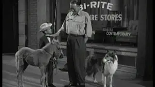 Lassie - Episode #274 - 