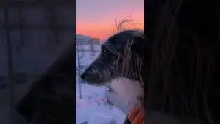 Красивый зимний закат