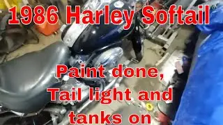 New Life Automotive 1986 Harley Softtail Paint, tail wiring and final assembly