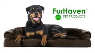FurHaven Pet Orthopedic Dog Bed + Removable Cover for Dogs & Cats