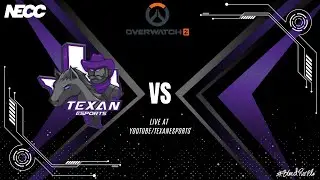 Texan Esports NECC | Overwatch 2 | Activation