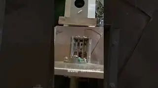 Special feeding equipment for twin-screw puffing machine #machine #factory
