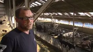 Weinig tot geen antibioticagebruik in de melkveehouderij - Biologische Zuivel van Koeien