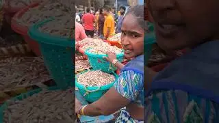💥🐠 Kasimedu Fish very low price #fish #nethili #trending #kasimedufishmarket #shorts #subscribe