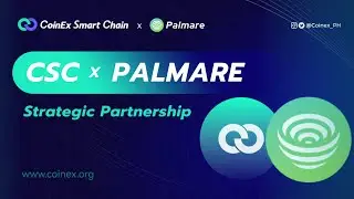 Palmare | Intro | whitepaper | tokenomics | explained | - Part 1#socialfi #crypto #csc #sportfi
