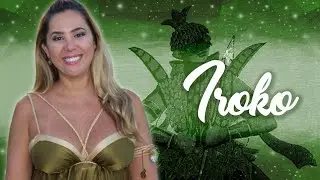 IR&Ocirc;KO | Especial Orix&aacute;s
