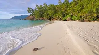 Beach 4K 🏝 Turquoise Water, White Sand and Ocean Sounds