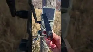 SPYPOINT FLEX-S Solar Outdoor Cellular Trail Camera-Great trail cam with reliable photo transmission