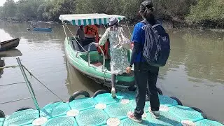 Going For The Flamingo Boat Safari From Thane Creek # travel #travelvlog #flamingo #safari