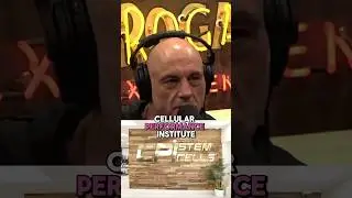 Joe Rogan on back surgery and stem cells
