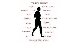Best Simple Exercise in the World Tamil | walking exercise for weight loss | Best Walking Shoes
