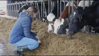 Gro&szlig;tier&auml;rztin: Einblicke in einen spannenden Beruf