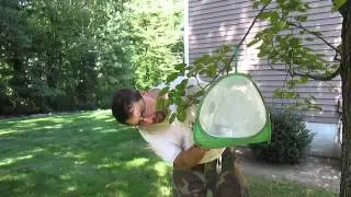Morris County Bat Removal